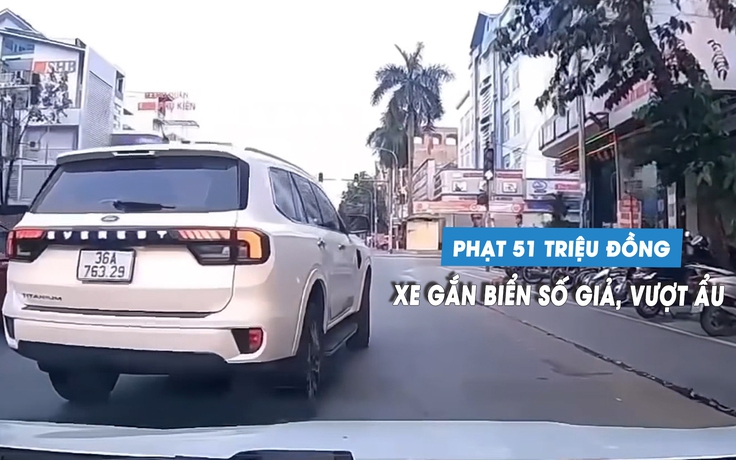 Ô tô dùng biển số giả còn chạy ẩu, phạt tài xế và chủ xe 51 triệu