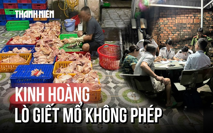 TP.HCM: Kinh hoàng 1 tấn gà không nguồn gốc