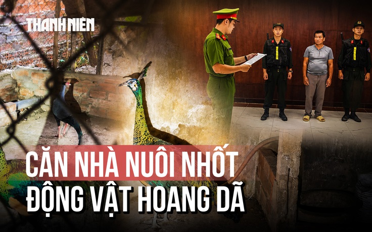 Bí mật 'kho' nuôi nhốt lậu nhiều động vật hoang dã quý hiếm