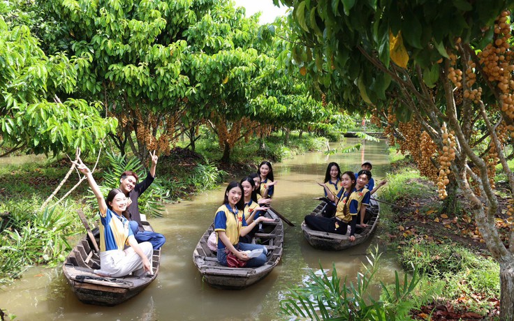 Nông dân làm du lịch từ vườn cây ăn trái, mỗi ngày đón hàng trăm khách
