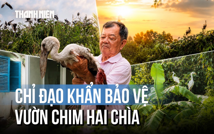 Vụ chủ vườn chim Hai Chìa kêu cứu: Chủ tịch UBND tỉnh Vĩnh Long chỉ đạo khẩn