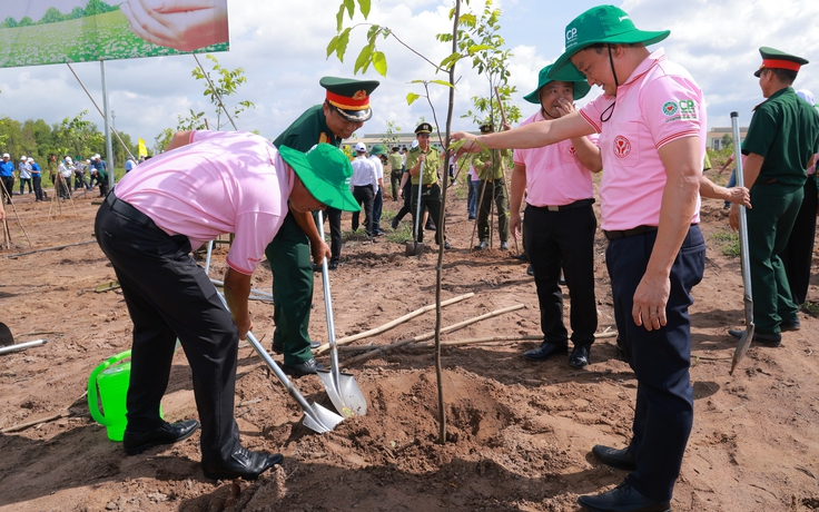 Công ty Chăn nuôi C.P. tiếp tục phủ mảng xanh tại Việt Nam