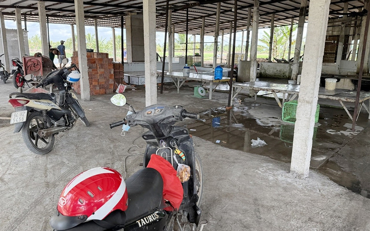 Lò giết mổ cạnh kho thuốc trừ sâu