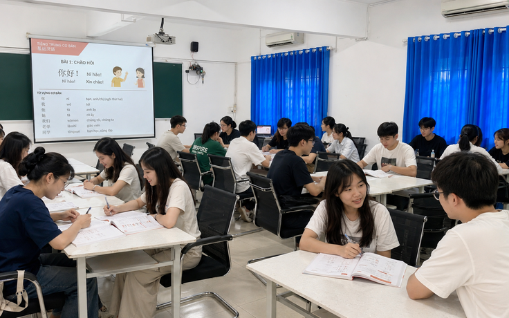 Mùa hè này, người trẻ muốn học thêm gì nhất?