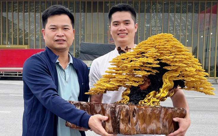 Tuyệt kỹ tạo tác cây cảnh từ dây kim loại