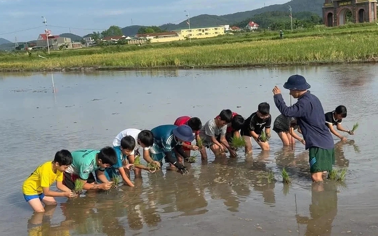 Độc đáo lớp học cấy lúa, bắt ốc cho 'khối nghỉ hè'