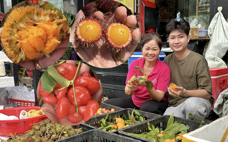 Trái gùi, mít nài, bứa đỏ... đổ bộ quán hủ tiếu ở TP.HCM, nhiều người lùng mua