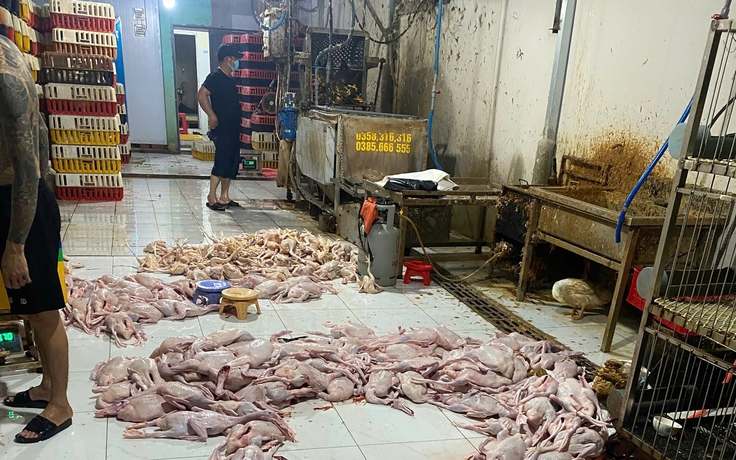 TP.HCM: Kiểm tra chợ Mỹ Phước 3, phát hiện nhiều điểm giết mổ gia cầm trái phép
