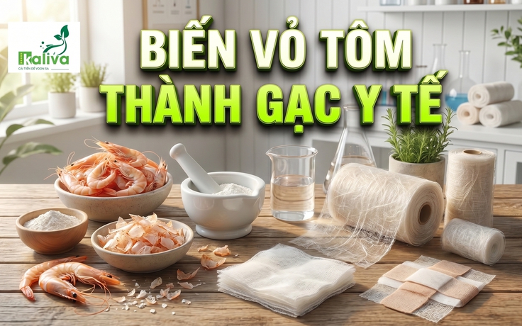 Cùng sống xanh số 150: Sinh viên năm nhất biến vỏ tôm thành băng gạc y tế