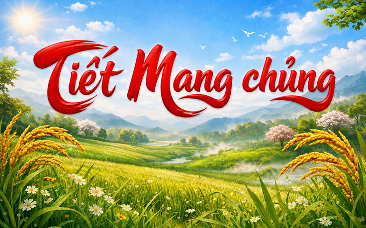 Lịch âm hôm nay 2.6: Thấy sao Tua Rua mọc, người Việt sắp đón tiết Mang chủng