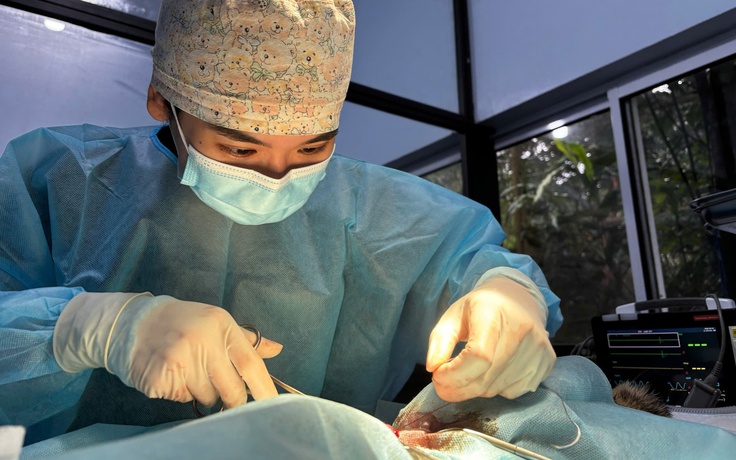Cô gái TP.HCM bỏ phố lên rừng, từng bám vách đá tái thả động vật hoang dã