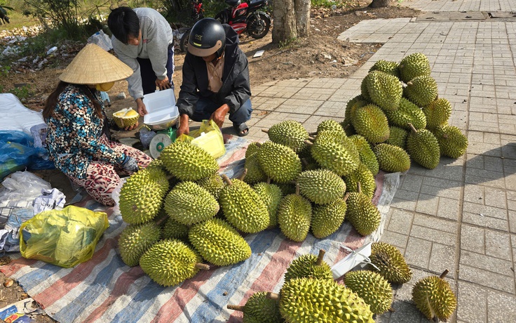 Sầu riêng rớt giá, nhà vườn mang ra lề đường bán lẻ