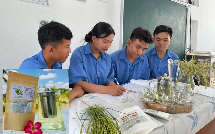 Sinh viên làm sản phẩm độc lạ: Trà từ lúa chét ST25