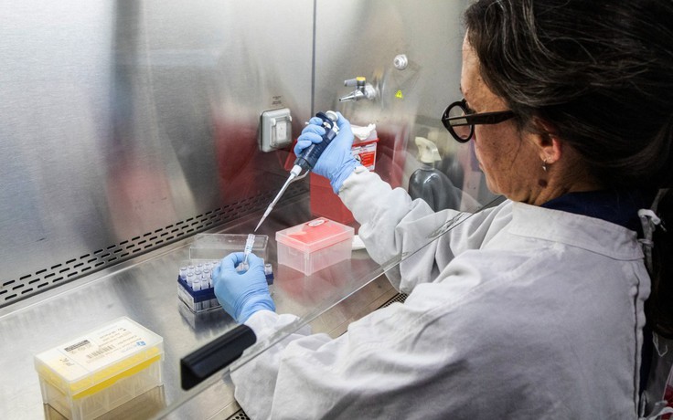 3 tiểu bang Mỹ theo dõi người về từ du thuyền có dịch virus hanta