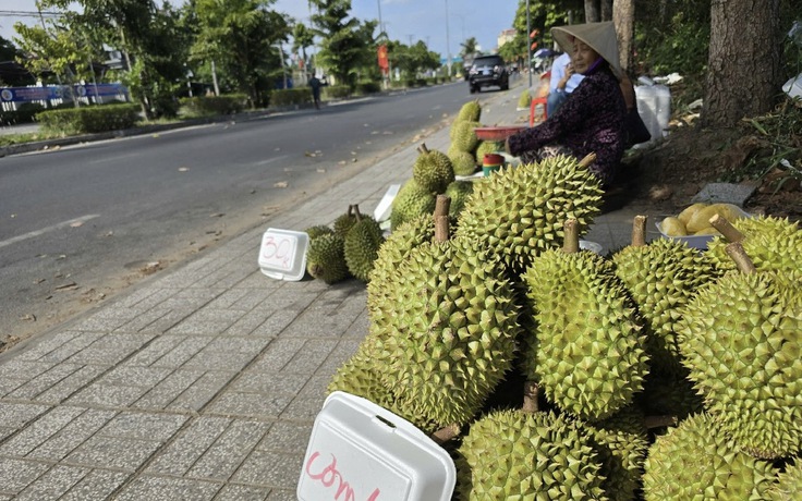 Đằng sau việc sầu riêng tràn ra lề đường