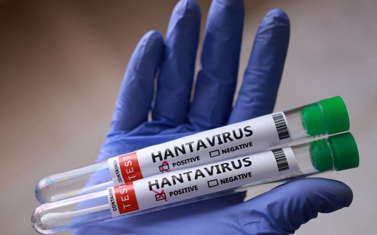 Số người nhiễm virus hanta gia tăng, đều thuộc biến thể lây từ người sang người