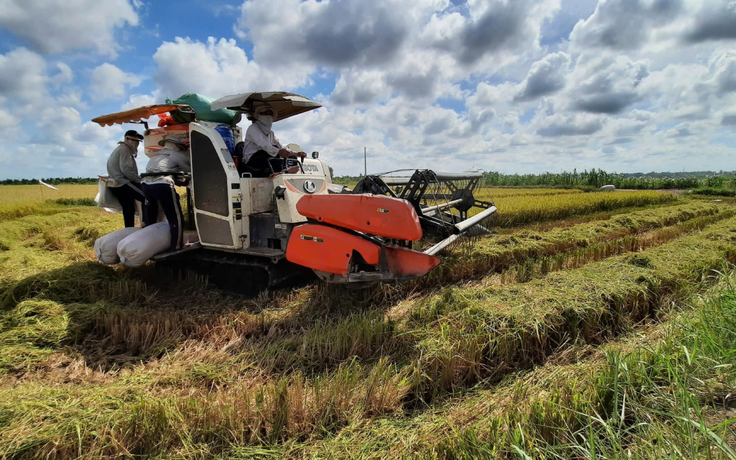 Đề xuất nhiều cơ chế phát triển 3 loại mô hình nông nghiệp ở Hà Nội
