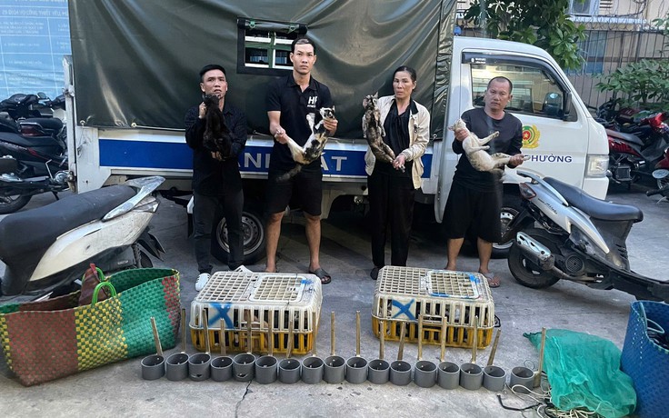 Công an TP.HCM phá đường dây trộm cắp, thu giữ hơn 500 con mèo