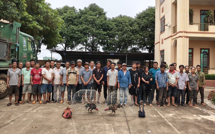 Đột kích trường gà ở Gia Lai, bắt giữ 31 người
