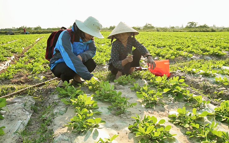 Quảng Trị tìm giải pháp thích ứng khí hậu từ những người chịu tác động trực tiếp