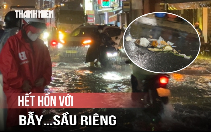 Mưa rút, người dân hoảng hồn với bẫy bằng…sầu riêng