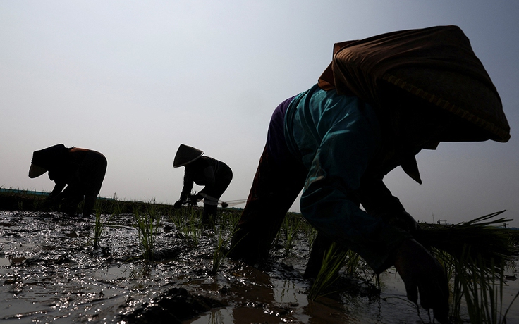 Thế giới ứng phó siêu El Nino