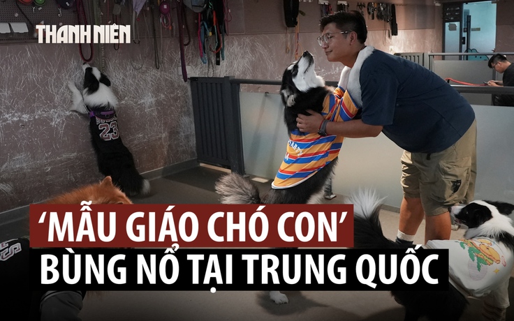 'Mẫu giáo cho cún' đắt khách tại Trung Quốc