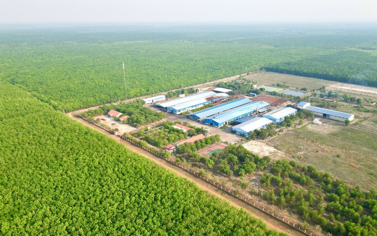 VRG đặt mục tiêu thành tập đoàn nông nghiệp xanh hàng đầu thế giới