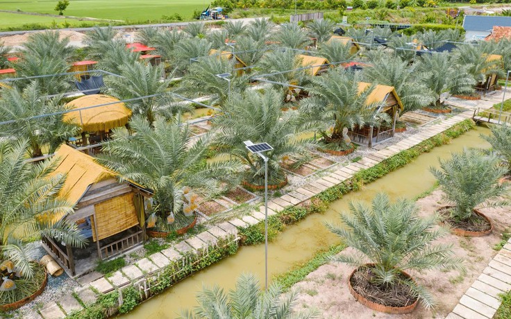 Chàng trai miền Tây biến vườn chà là ở vùng biên thành điểm du lịch hấp dẫn