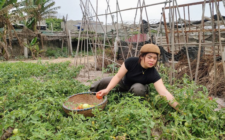 Cô giáo của những mầm xanh nơi đầu sóng