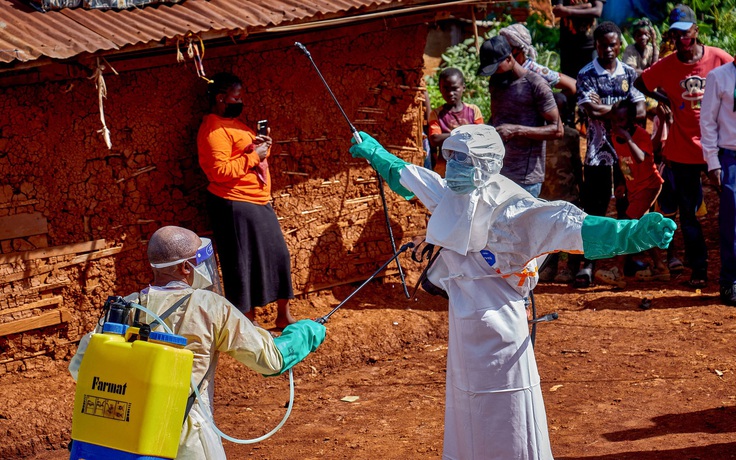 Hàng không quốc tế báo động khẩn về dịch Ebola