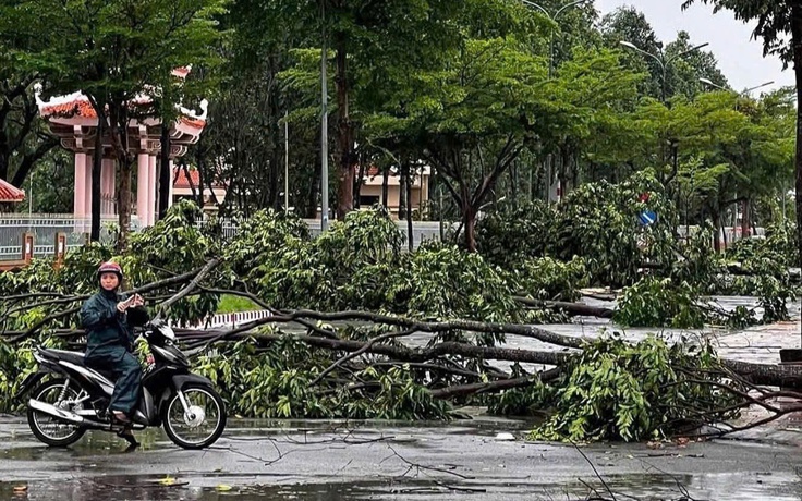 Giông lốc làm tốc mái 6 căn nhà, hư hỏng một số hạng mục lễ hội Sen
