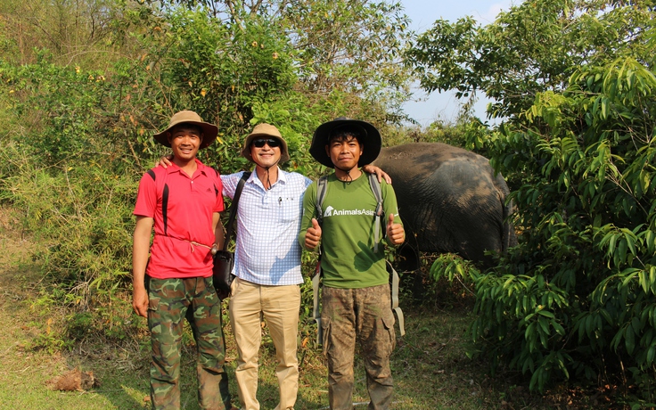Vào rừng sâu Liên Sơn Lắk tìm voi sống tự do giữa đại ngàn Tây nguyên
