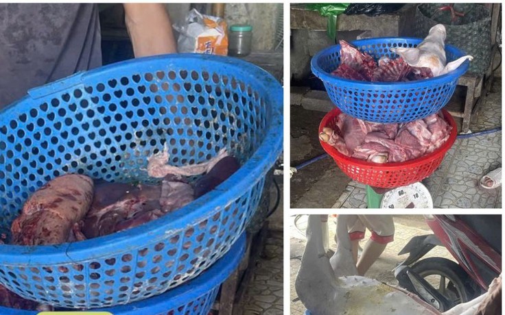 Ngang nhiên tiêu thụ lợn nhiễm bệnh