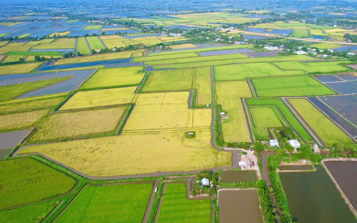 Cà Mau lập 13 phường: Hồng Dân với khát vọng vươn lên mạnh mẽ