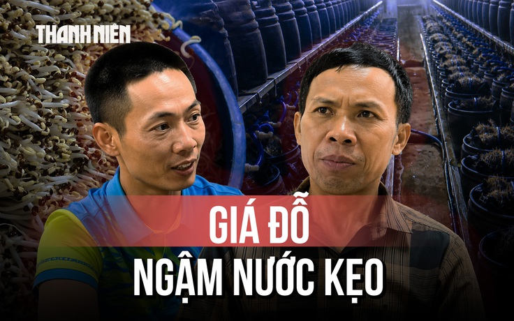 Chủ cơ sở ngâm giá đỗ vào nước kẹo vì 'làm giá hay bị hỏng'