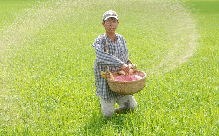 Giá phân bón tiếp tục tăng cao, nhà nông lao đao