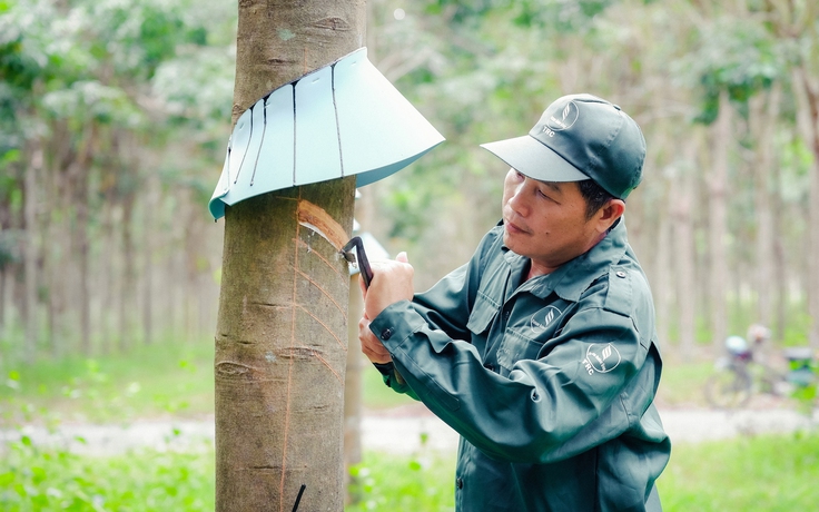 VRG: Khát vọng tăng trưởng hai con số kiến tạo không gian phát triển mới