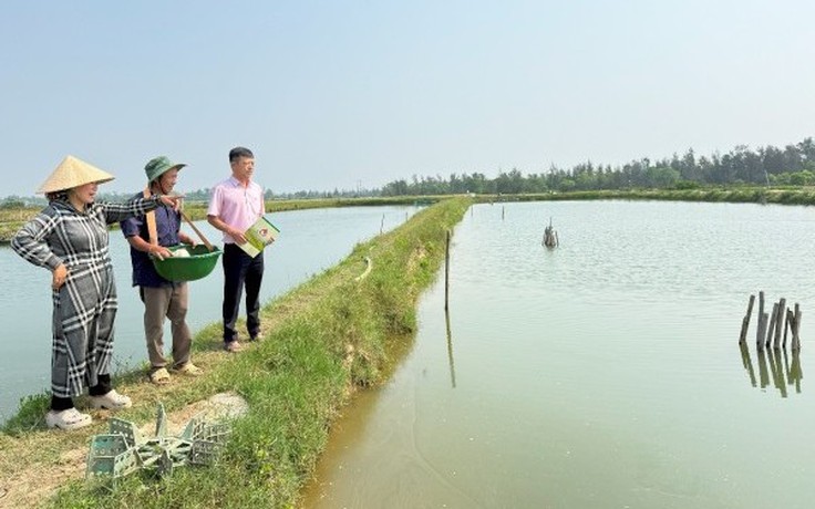 Vốn chính sách tiếp sức người dân vùng đầm phá khôi phục sinh kế