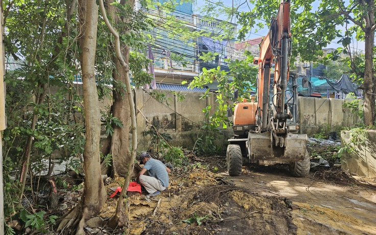 Phát hiện hàng chục bộ hài cốt quanh một gốc cây ở Ninh Bình