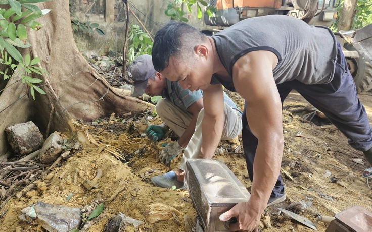 Thông tin mới vụ phát hiện nhiều bộ hài cốt quanh một gốc cây ở Ninh Bình