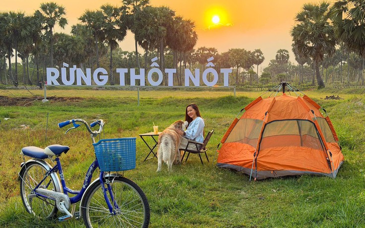 Biến rừng thốt nốt hoang sơ thành điểm du lịch độc đáo ở vùng Bảy Núi