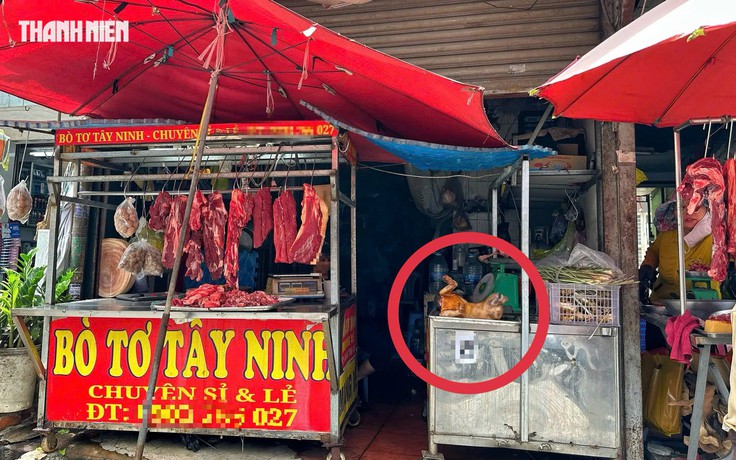 Phố thịt chó một thời ở TP.HCM thưa vắng, vì sao vẫn còn người bán cầy tơ?