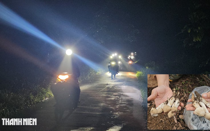 Xuyên đêm săn nấm mối: Hàng trăm người đổ về rừng ở Đồng Nai