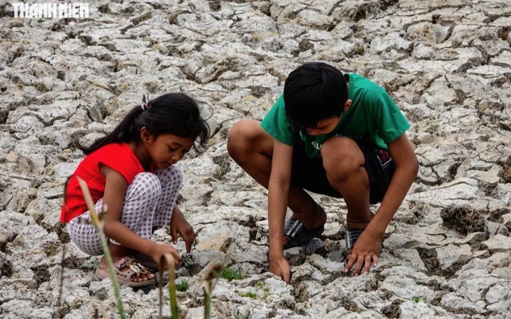 81% El Nino sẽ phát triển thành 'siêu El Nino' vào cuối năm nay