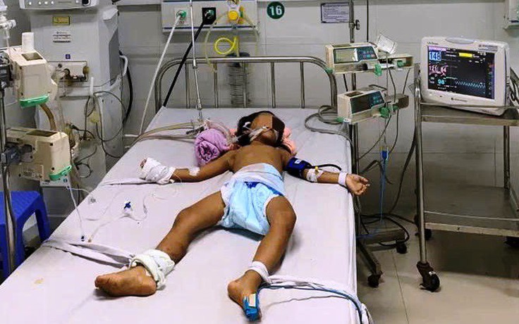 Đà Nẵng: Hai chị em ruột nguy kịch sau khi ăn chanh dây rừng còn xanh