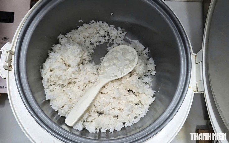 Cơm nguội có thực sự gây hại? Bác sĩ nói về nguy cơ ít người để ý
