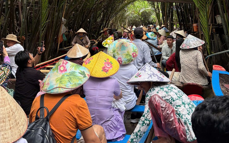 Tắc xuồng ba lá ở cồn Thới Sơn