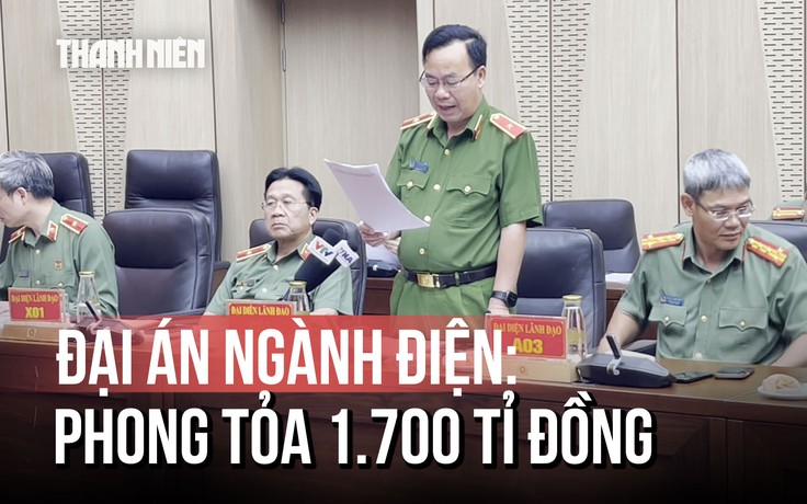 Đại án ngành điện: Vì sao 13 công ty bị nhắc tên trong cùng một vụ án?