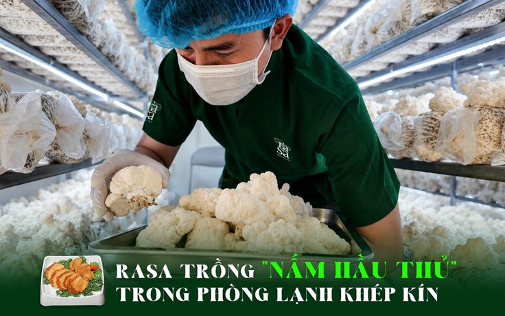 RASA đầu tư trang trại nấm hầu thủ